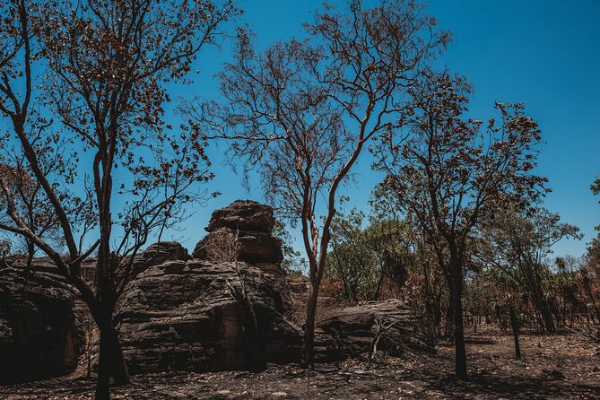 Kakadu Day Tour From Darwin With Offroad Dreaming - Pricing and Booking