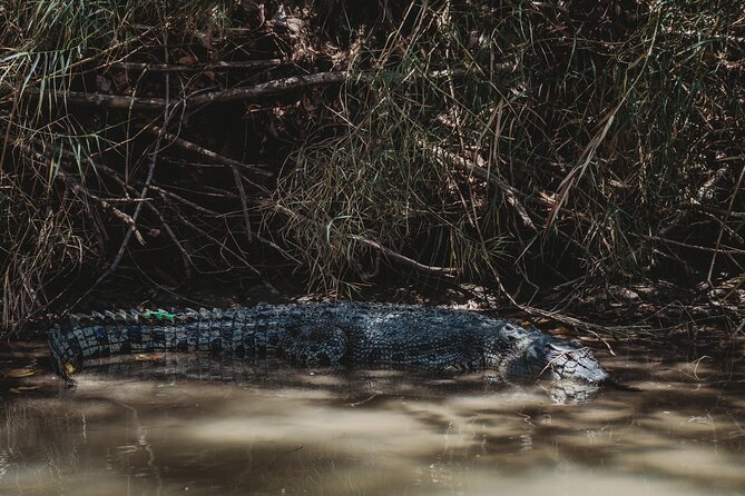 Kakadu Day Tour From Darwin With Offroad Dreaming - Cultural Immersion on the River