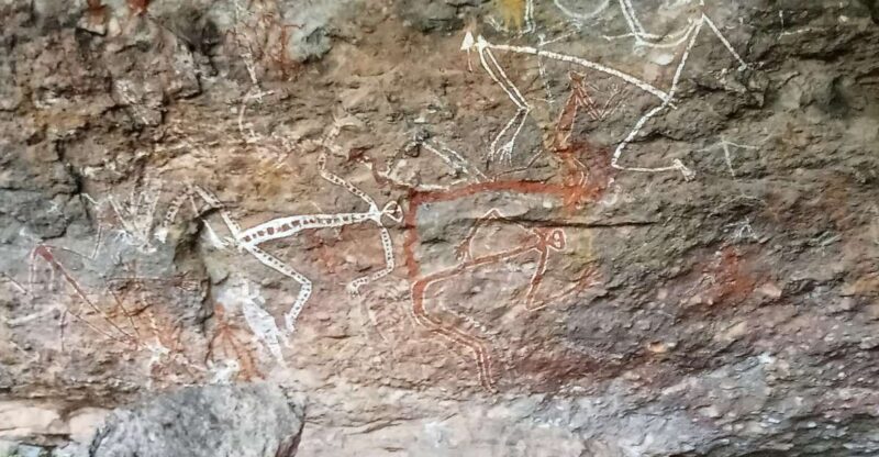 Kakadu Day Tour: Private, Yellow Water, Nourlangie, Ubirr - Fogg Dam Conservation Reserve