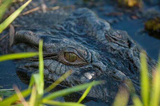 Kakadu National Park Evening Tour + Yellow Water Sunset Cruise - The Itinerary Breakdown: What to Expect
