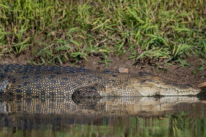 Kakadu National Park Evening Tour + Yellow Water Sunset Cruise - The Value of This Experience