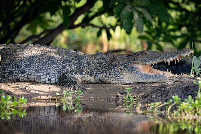 Kakadu National Park Evening Tour + Yellow Water Sunset Cruise - Who This Tour Is Best For