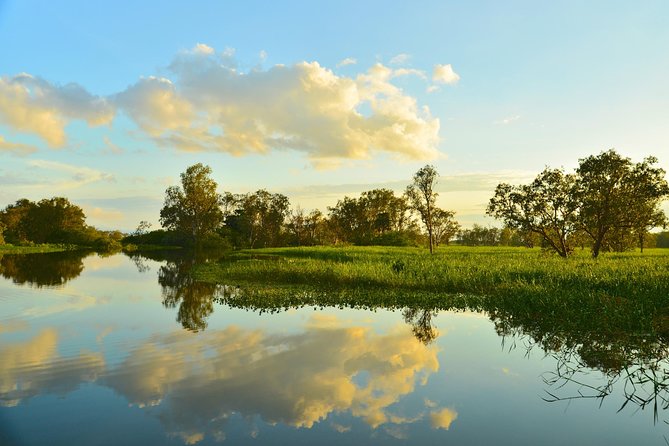 Kakadu National Park Scenic Flight &Yellow Water Cruise - Details of the Yellow Water Cruise