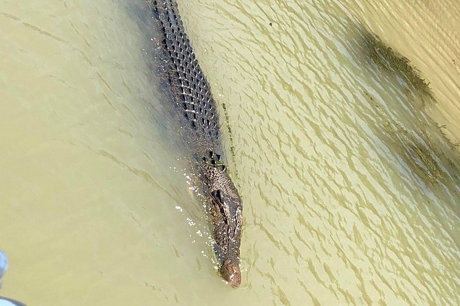Kakadu National Park Scenic Flight &Yellow Water Cruise - Booking Policies and Reservations
