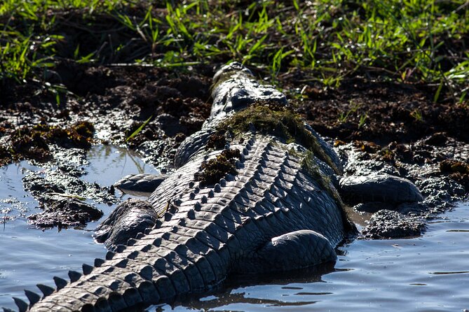 Kakadu National Park Wildlife and Ubirr Rock Art Tour From Darwin City - Meeting Point and Duration