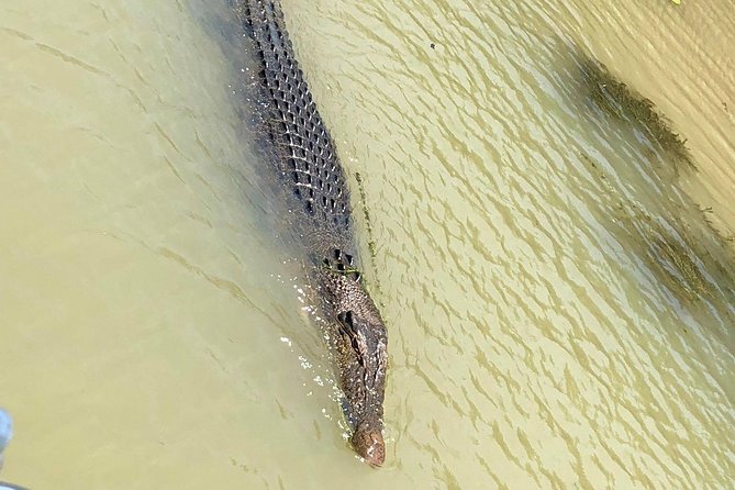 Kakadu Yellow Waters Cruise & Katherine Gorge Helicopter Scenic - Inclusions