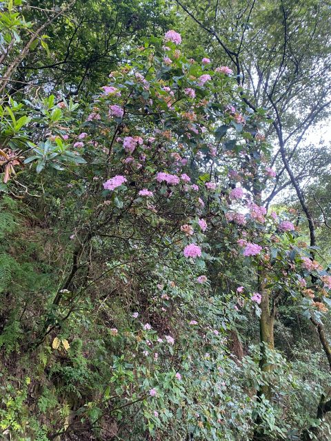 Kakani Day Hike - Guided Experience