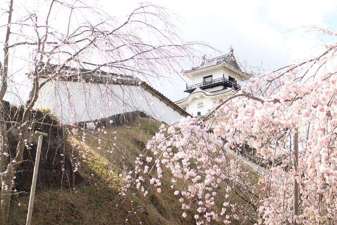Kakegawa Castle and Sake Tasting Private Tour With Public Train - Exploring Kakegawa Castle