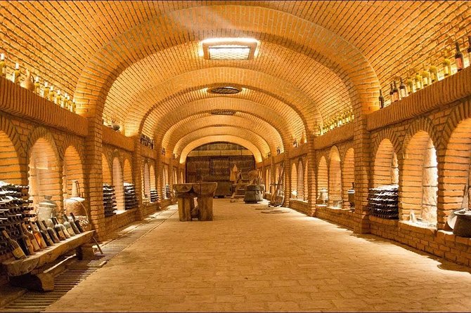 Kakheti Full Day Private Tour - Prominent Wine Producer: KTW Patardzeuli Winery