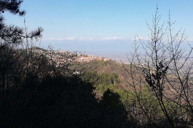 Kakheti Full Day Private Tour - Flexible Tour Logistics and Timing