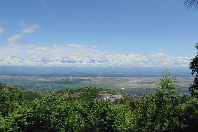 Kakheti in Region Group Tour From Tbilisi - Tour Schedule and Availability