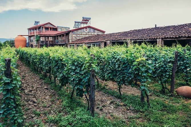 Kakheti Private 2-Day Wine Tour From Tbilisi - Traveler Feedback and Ratings
