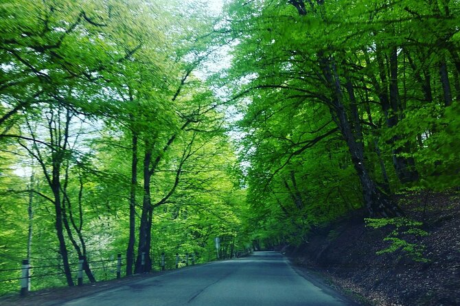 Kakheti Region Khareba Winery Telavi City Gremi Castle Day Tour - Exploring Kakheti Region