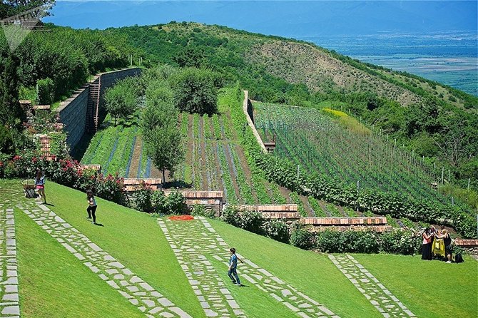 Kakheti: Signagi, Bodbe Monastery, Telavi, Wine Tour. Private Tour - Gastronomic Delights