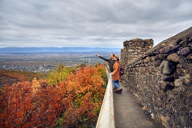 Kakheti.Small Group Wine Tour Including Hotel Pick Up/Drop-Off - Tour Highlights