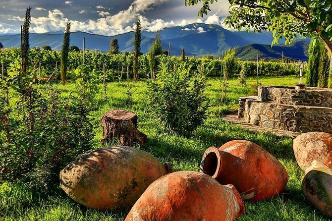 Kakheti-Wine Region Full-Day Superior Private Guided Tour & Organic Wine Tasting - About Your Stay