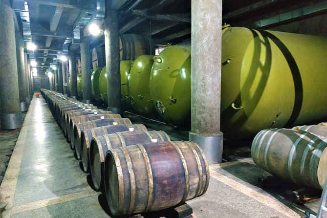 Kakheti Wine Tour With 20+ Wine Tastings & Qvevri Masterclass - Kindzmarauli Corporation Tour
