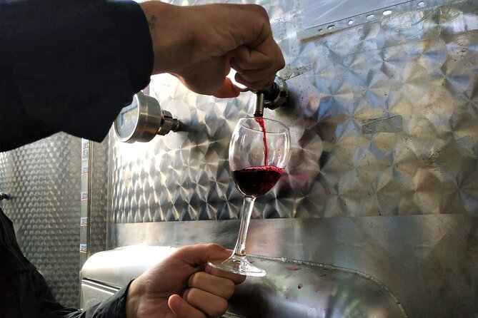 Kakheti Wine Tour With 20+ Wine Tastings & Qvevri Masterclass - Lunch and Local Cuisine