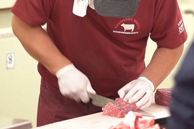 Kakogawa Wagyu Cuture Experience Including Kobe Beef Shabu Shabu - Guided Tour: Unlocking the Secrets of Kakogawa Wagyu