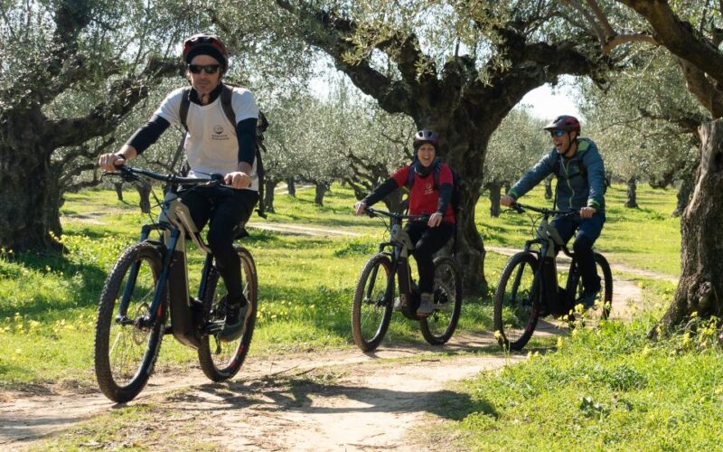 Kalamata: Olive Grove E-Mountain Bike Tour With Picnic Lunch - E-Bike Tour With Local Guide