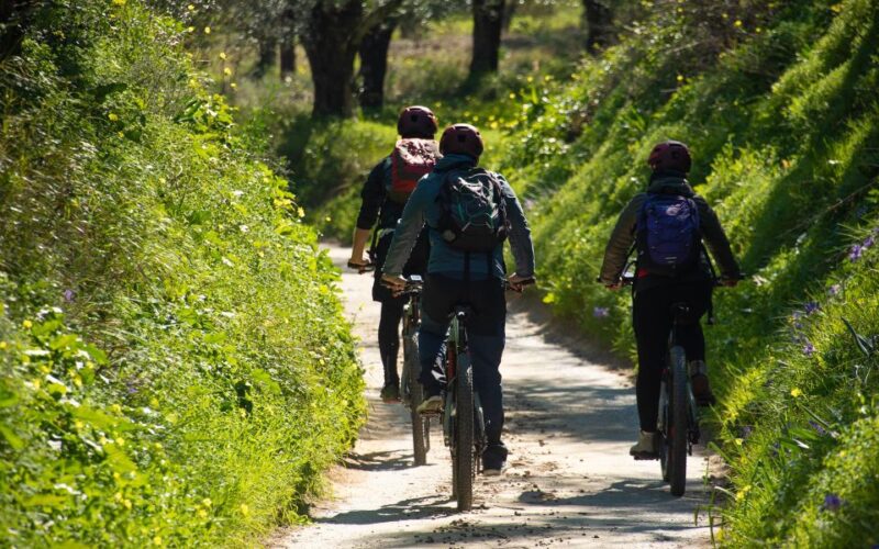 Kalamata: Olive Grove E-Mountain Bike Tour With Picnic Lunch - Picnic Lunch With Local Delicacies
