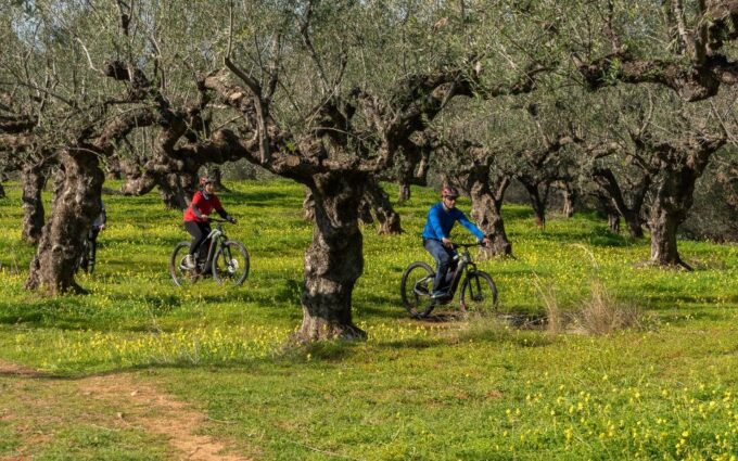 Kalamata: Olive Grove E-Mountain Bike Tour With Picnic Lunch - Activity Requirements and Important Information
