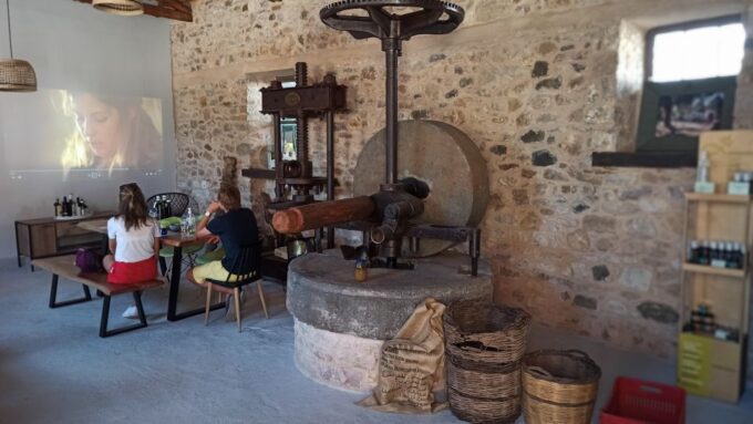 Kalamata: The Olive Oil Routes Tour - Meeting Point