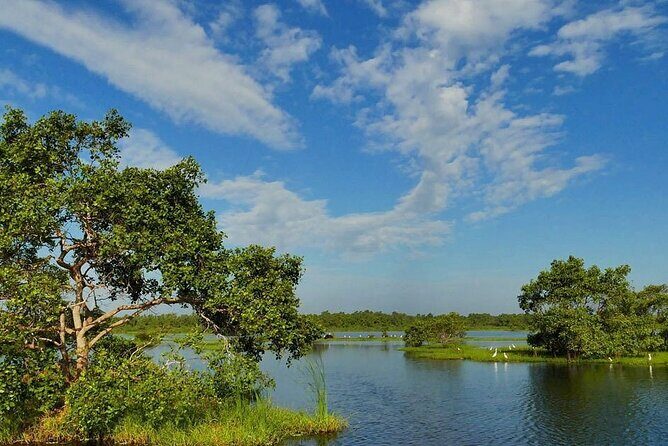Kalametiya Bird Sanctuary Catamaran Bird Watching Tour - The Experience in Detail