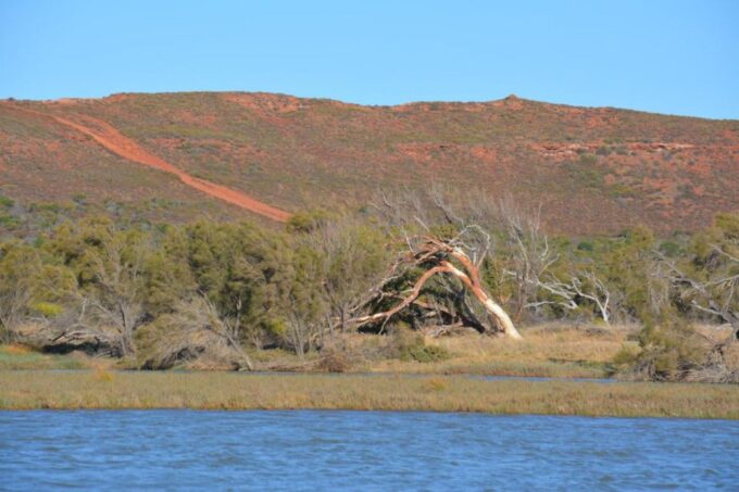 Kalbarri: Cruise on the Murchison River - Accessibility and Recommendations