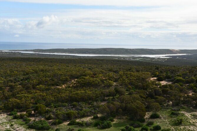 Kalbarri National Park Self Guided Driving Tour - Final Thoughts: Is This Tour For You?