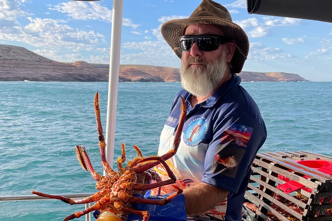 Kalbarri Rock Lobster Pot Pull Tour - Traveler Feedback