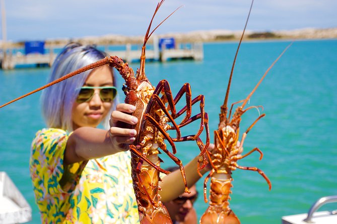 Kalbarri Rock Lobster Pot Pull Tour in Kalbarri - Hands-on Lobster Catching Experience