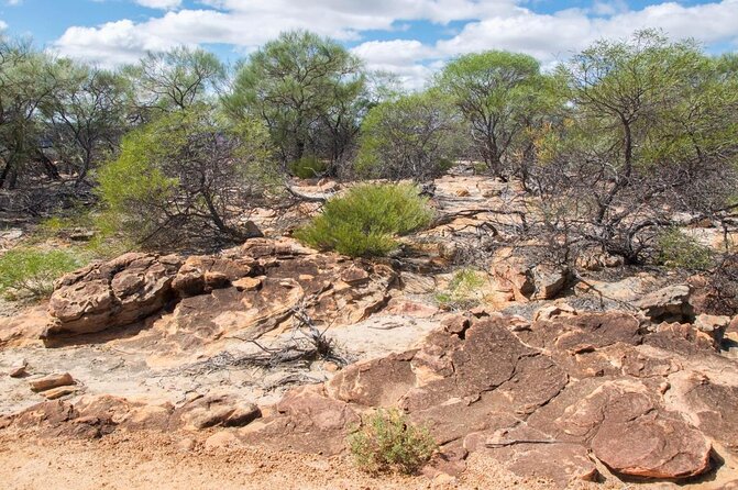 Kalbarri Sunset Cruise Along the Coastal Cliffs - Knowledgeable Crew Guidance