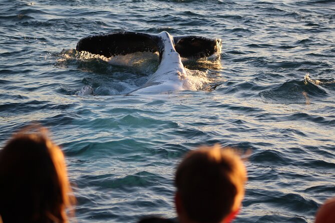 Kalbarri Whale Watching Tour - Additional Details