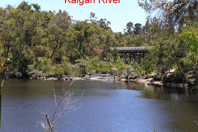 Kalgan Queen Scenic Cruises a Four Hour Sheltered Water Wildlife Tour Daily Fun. - Additional Information About the Tour