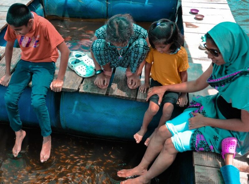 Kalutara: Turtle Hatchery Visit, Boat Safari, and Galle Tour - Kosgoda Turtle Hatchery