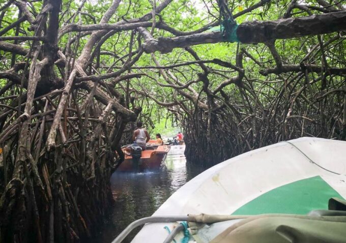 Kalutara: Turtle Hatchery Visit, Boat Safari, and Galle Tour - Recap