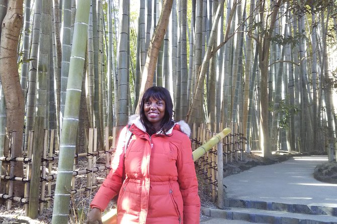 Kamakura 4hr Private Trip With Government-Licensed Guide - Transportation and Public Transit