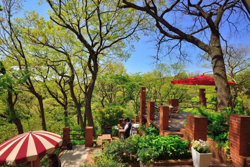 Kamakura: 5-Hour Nature and History Walking Tour - Key Points