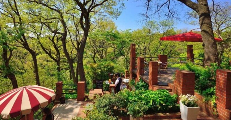 Kamakura: 5-Hour Nature and History Walking Tour - Itinerary