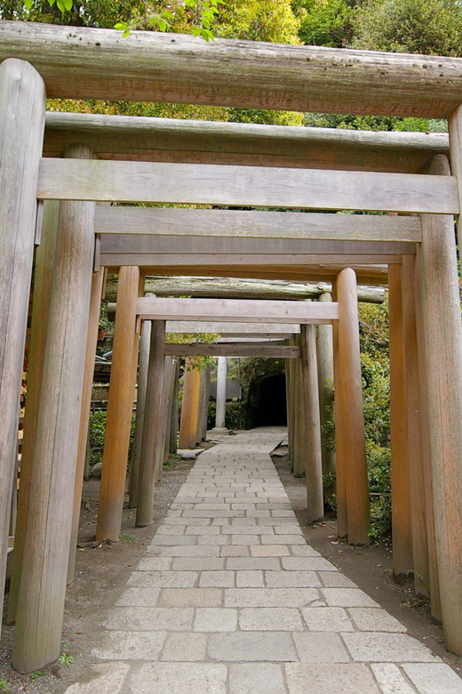 Kamakura: 5-Hour Nature and History Walking Tour - Visit Zeniarai Benzaiten Shrine