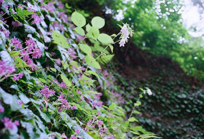 Kamakura: 5-Hour Nature and History Walking Tour - Kamakura Yuigahama Beach