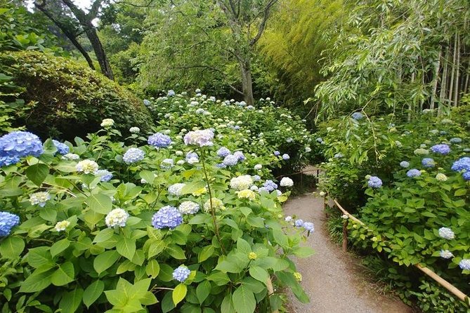 Kamakura and Eastern Kyoto With Lots of Temples and Shrines - Pricing