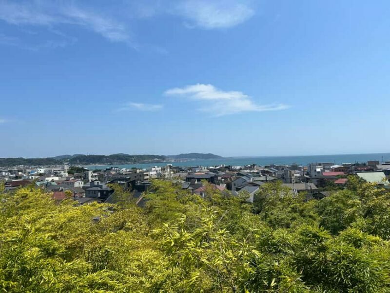 Kamakura and Enoshima: Local Flavors & Culture Walking Tour - The Sum Up