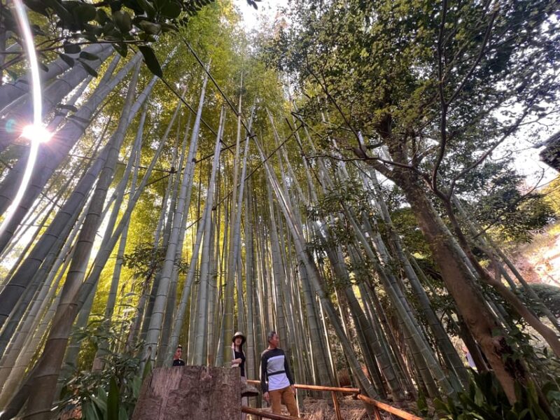 Kamakura and Enoshima: Private Guided Day Tour With Vehicle - Itinerary Highlights