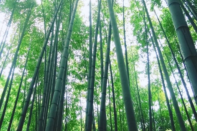 Kamakura Bamboo Forest and Great Buddha Private Tour - Getting to Kamakura