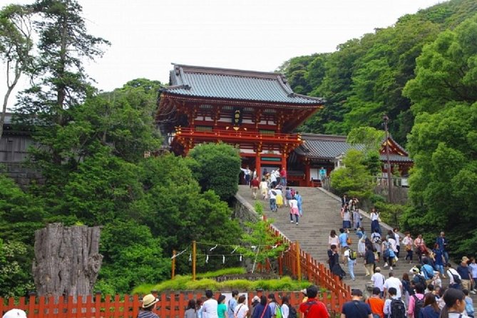 Kamakura Bamboo Forest and Great Buddha Private Tour - Exploring the Bamboo Forest