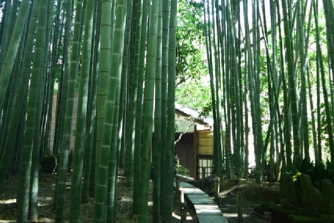 Kamakura Bamboo Forest and Great Buddha Private Tour - Booking and Cancellation