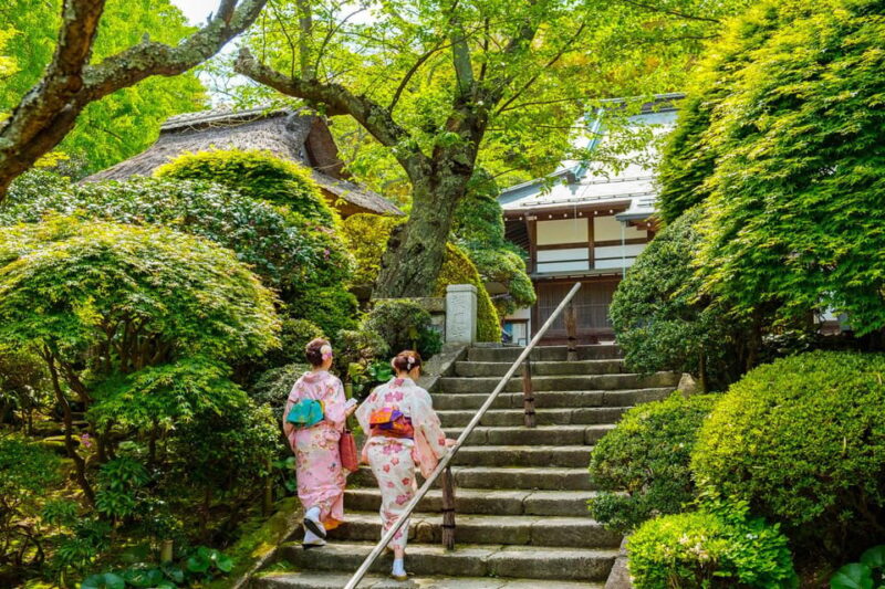 Kamakura: Best Guided Day Tour With Tea Ceremony - Key Points