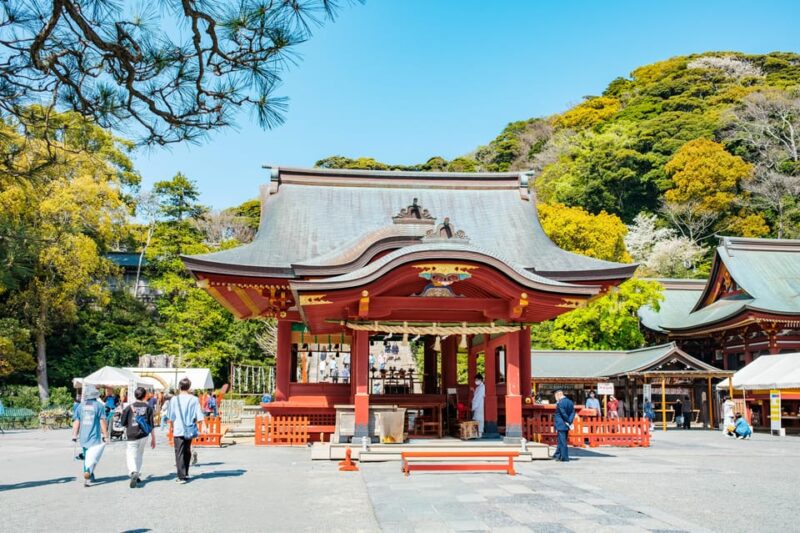 Kamakura: Best Guided Day Tour With Tea Ceremony - Hasedera Temple: Scenic Gardens and Panoramic Coastal Views